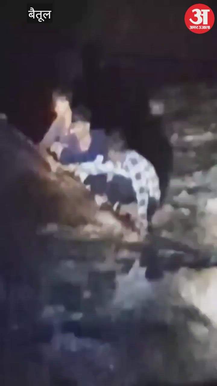 Tractor trolley overturned in river in Betul police rescued three children two saved their lives by swimming