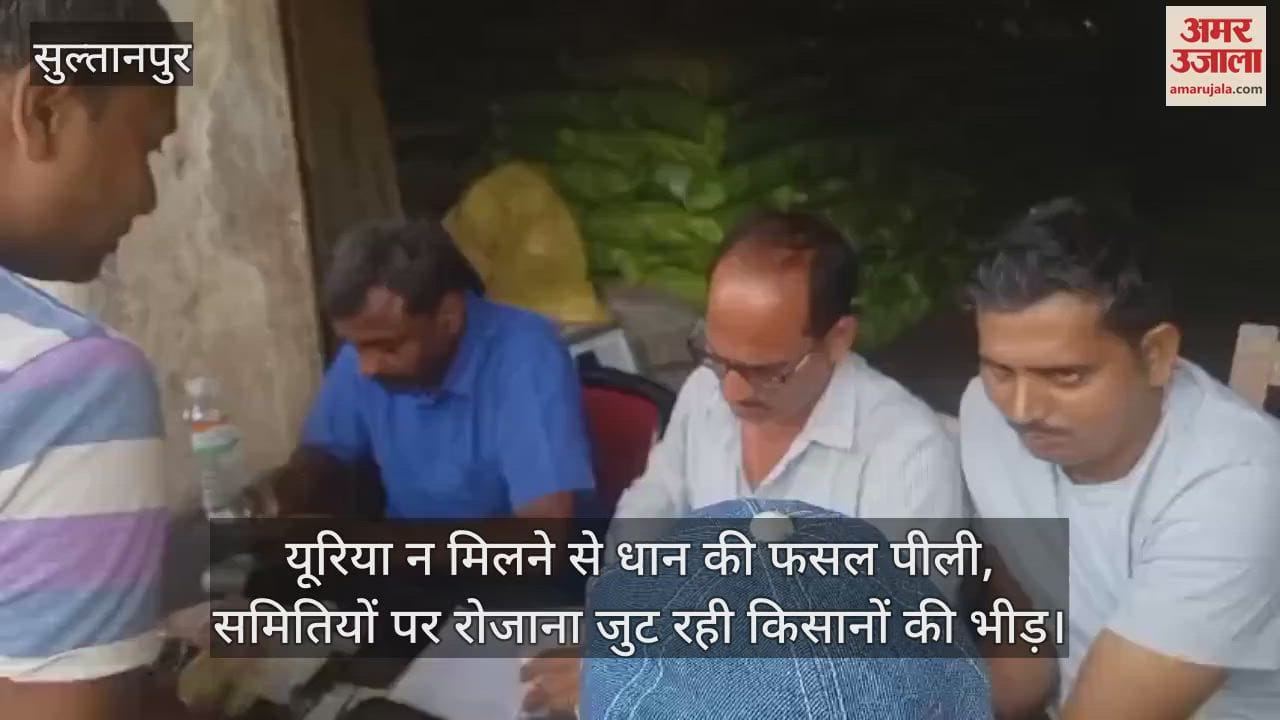 VIDEO: खाद के लिए परेशान किसान, समितियों के चक्कर में बर्बाद हो रहा समय, सचिव बोले - जब आएगी तब मिलेगी
