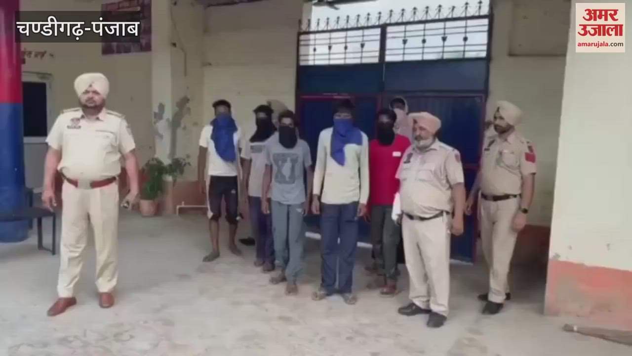 Gang stealing motor cable wires installed in fields arrested