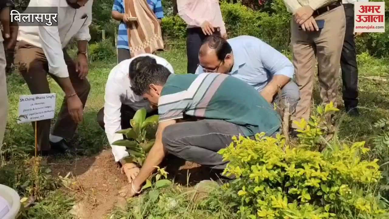 Bilaspur District Legal Services Authority planted trees in Lakhanpur