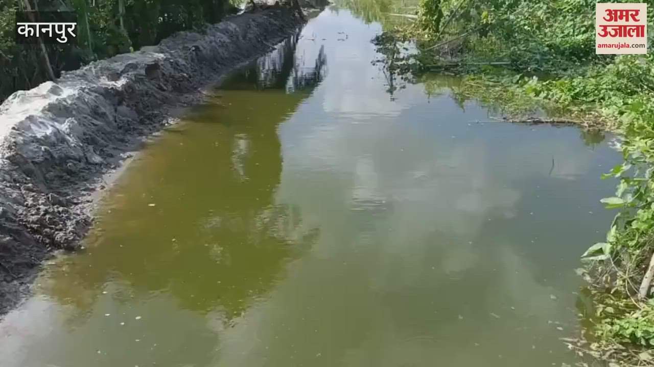 water level of Ganga is constantly rising, hundreds of acres of crops are submerged in Domanpur