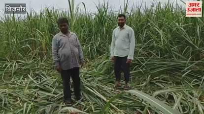 UP: Elephants of Corbett Tiger Reserve are eating sugarcane crops in Kalagarh, farmers are worried