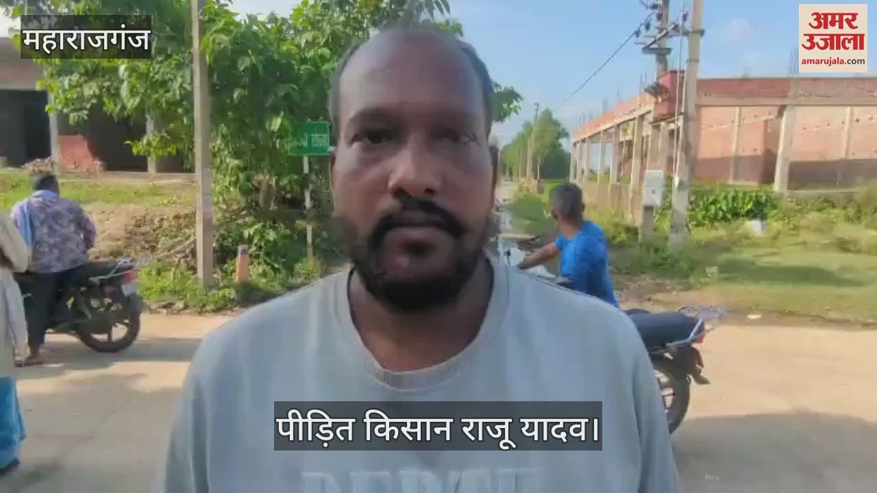 Buffalo died in the morning due to electric shock