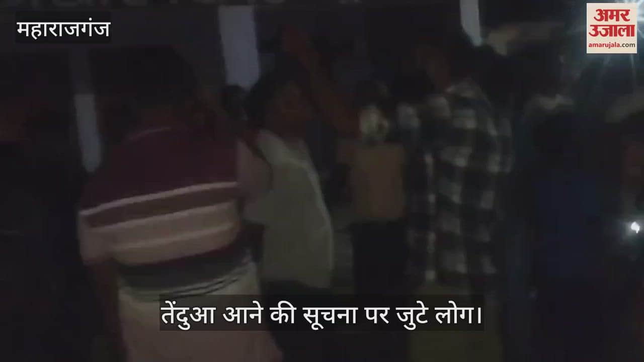 Leopard was seen in the market area of Sohagibarwa village on Wednesday night