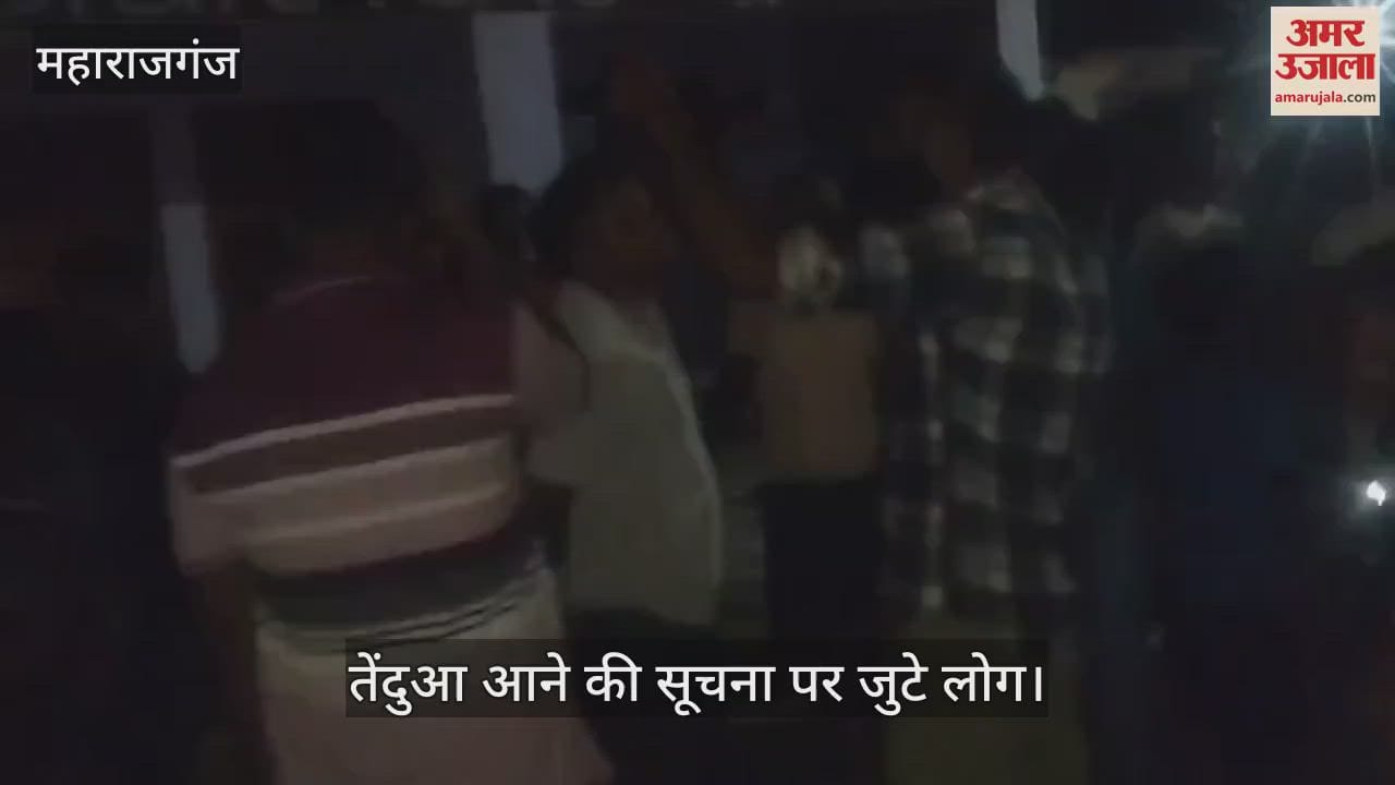 Leopard was seen in the market area of Sohagibarwa village on Wednesday night