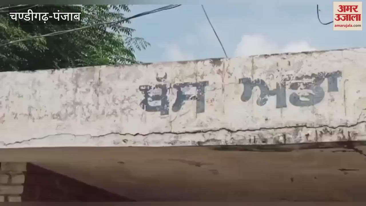 Woman sarpanch removed from post in Moga