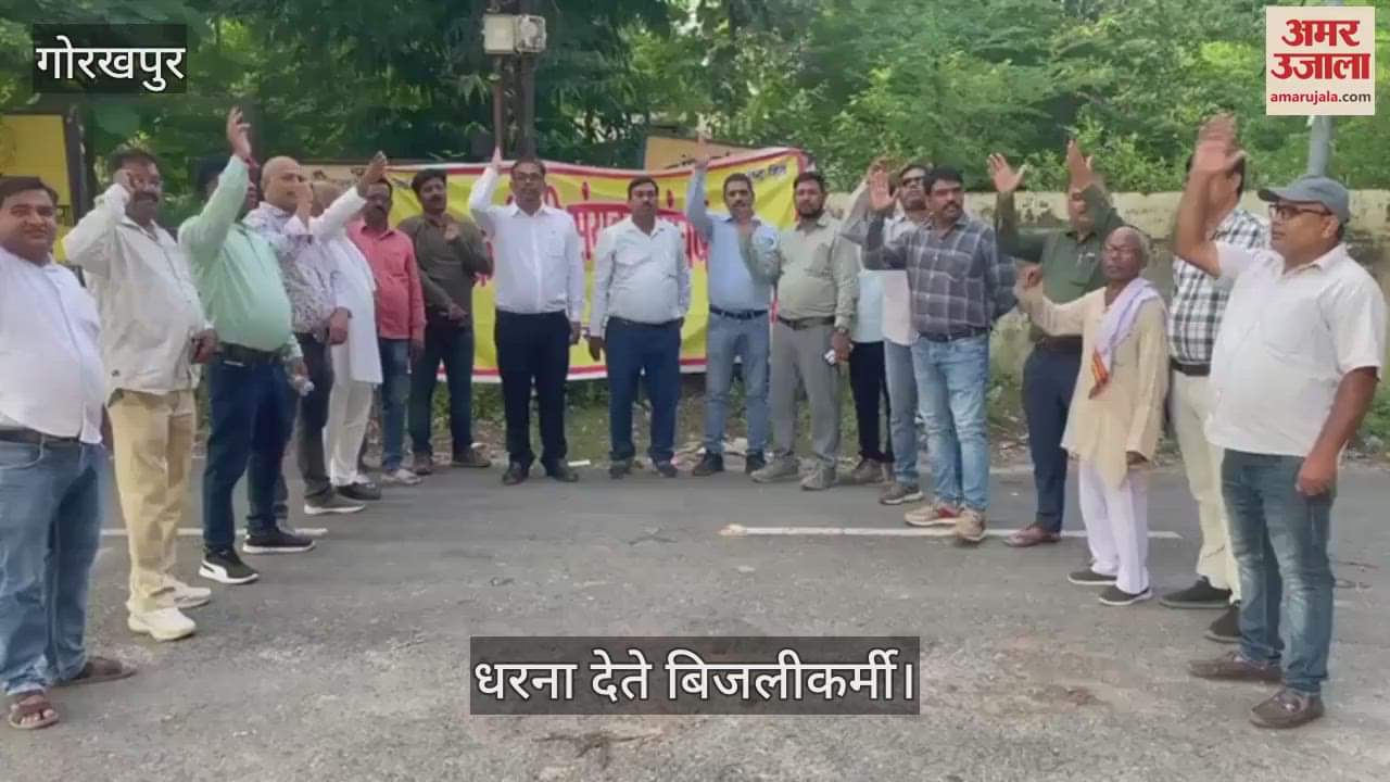 Electricity Corporation workers protest against privatization