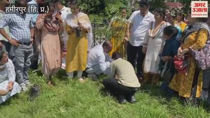 Hamirpur 100 medicinal plants planted in the historic Chaugan