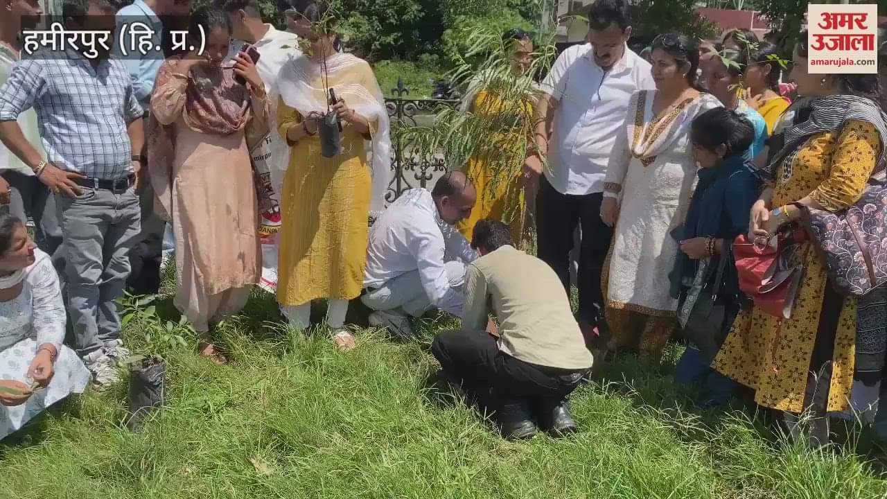 Hamirpur 100 medicinal plants planted in the historic Chaugan