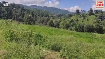 Mandi SDM and officials of the Agriculture Department who reached Gadhari Farm of the Agriculture Department to mark the land had to face opposition from the people