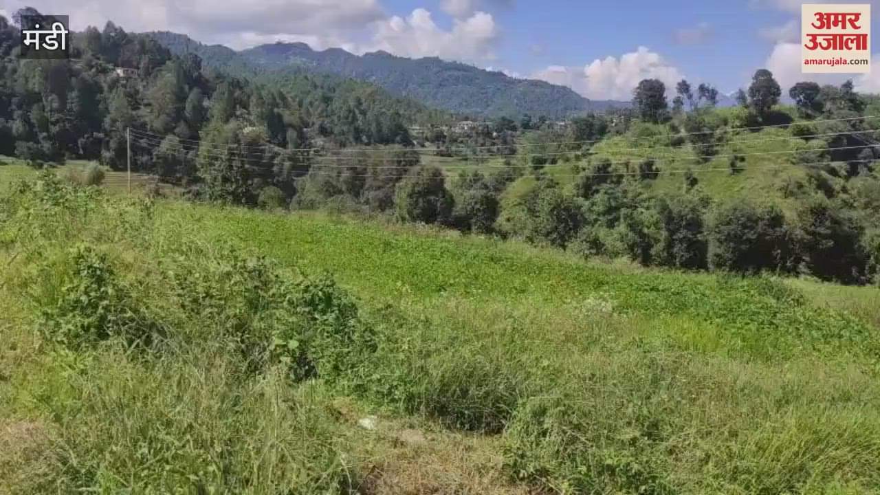 Mandi SDM and officials of the Agriculture Department who reached Gadhari Farm of the Agriculture Department to mark the land had to face opposition from the people