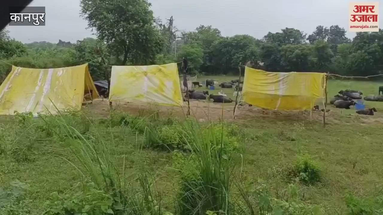 Ganga's havoc, families rendered homeless, forced to live in the jungle