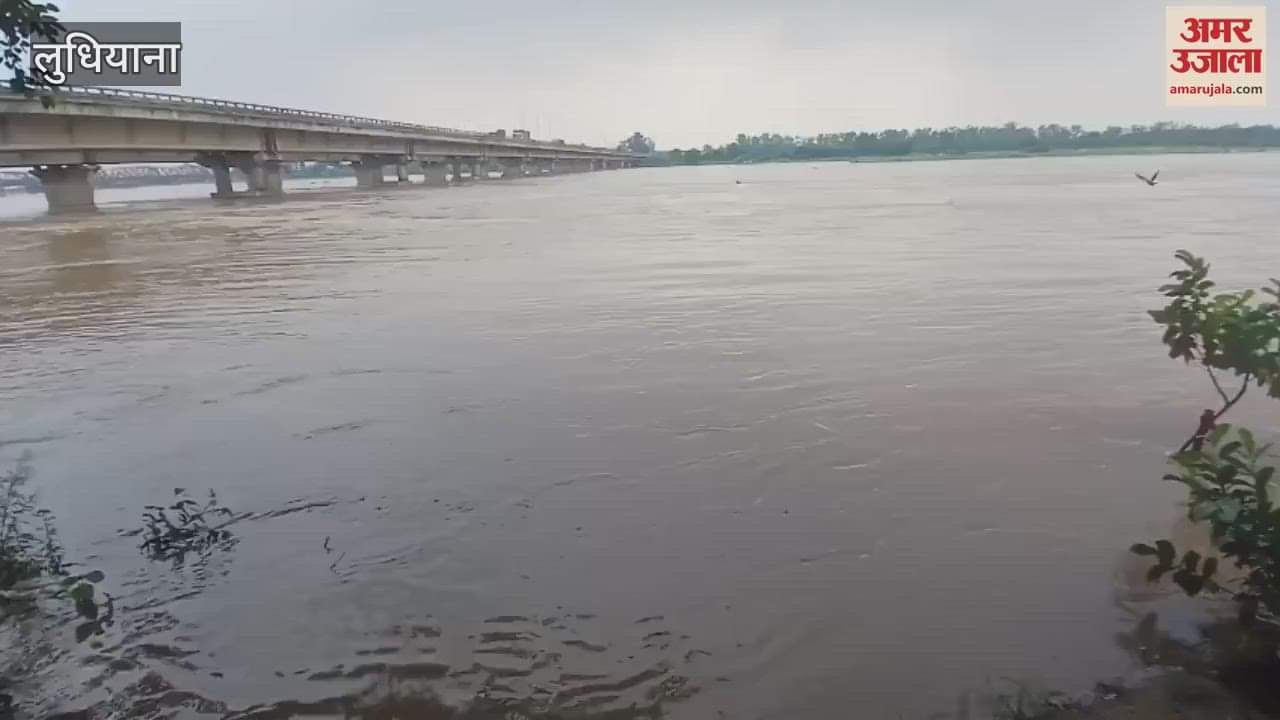 Water level of Sutlej river increased in Ludhiana