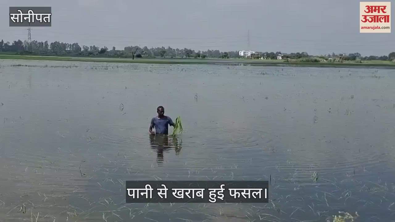 Crop damaged due to waterlogging