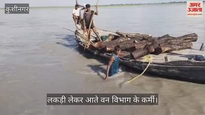 The forest department recovered 46 boats of Khaira wood from the river, which was hidden by smugglers