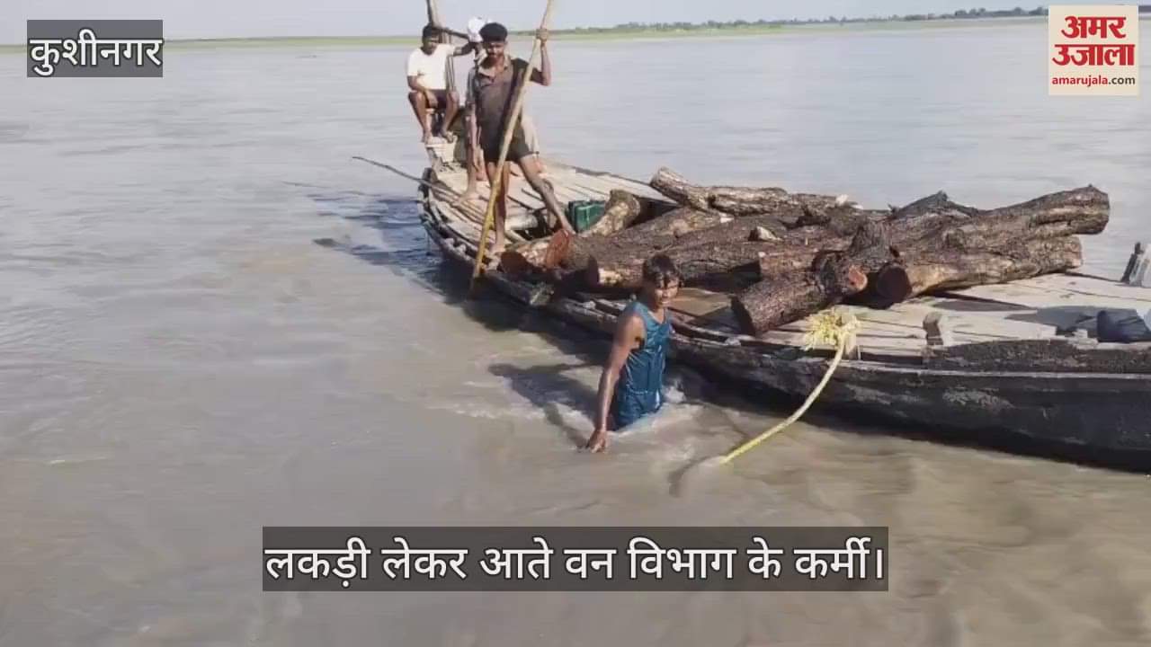 The forest department recovered 46 boats of Khaira wood from the river, which was hidden by smugglers