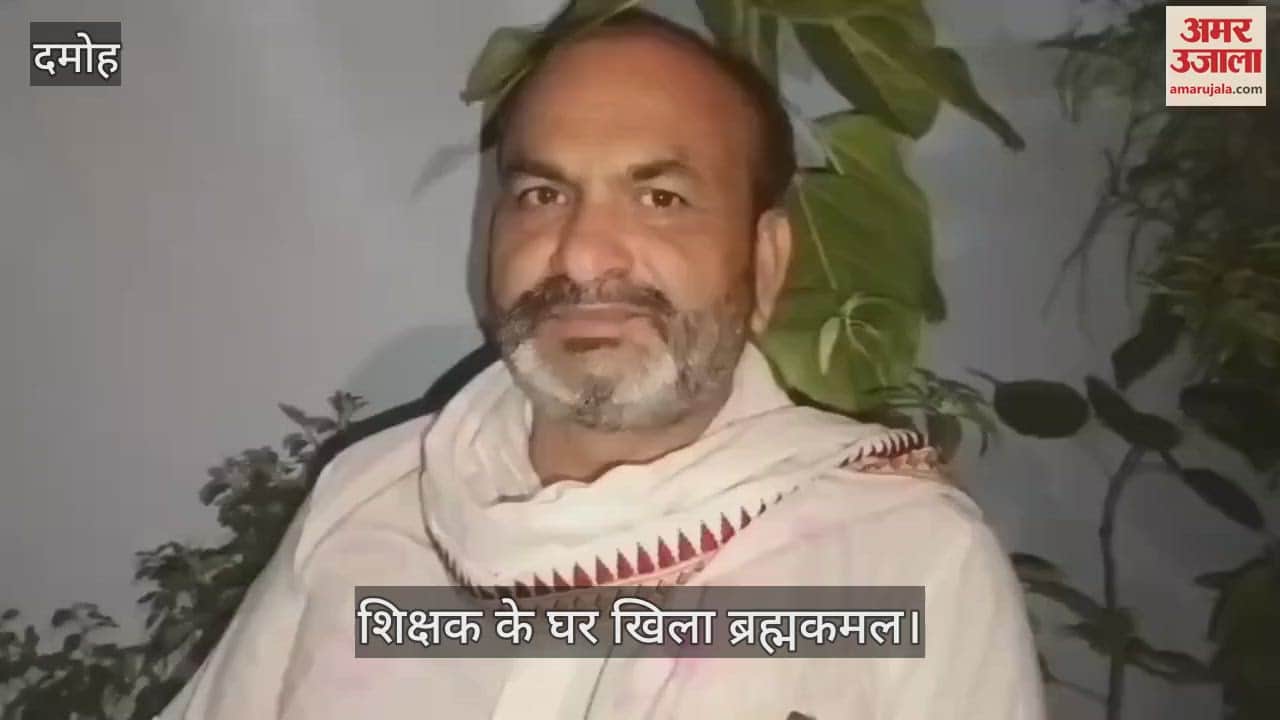 Brahmakamal flower bloomed in teachers house after 12 years