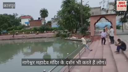 कानपुर का प्राचीन कछुआ तालाब, लोग मनोकामना पूर्ति के लिए कछुओं को खिलाते हैं पनीर