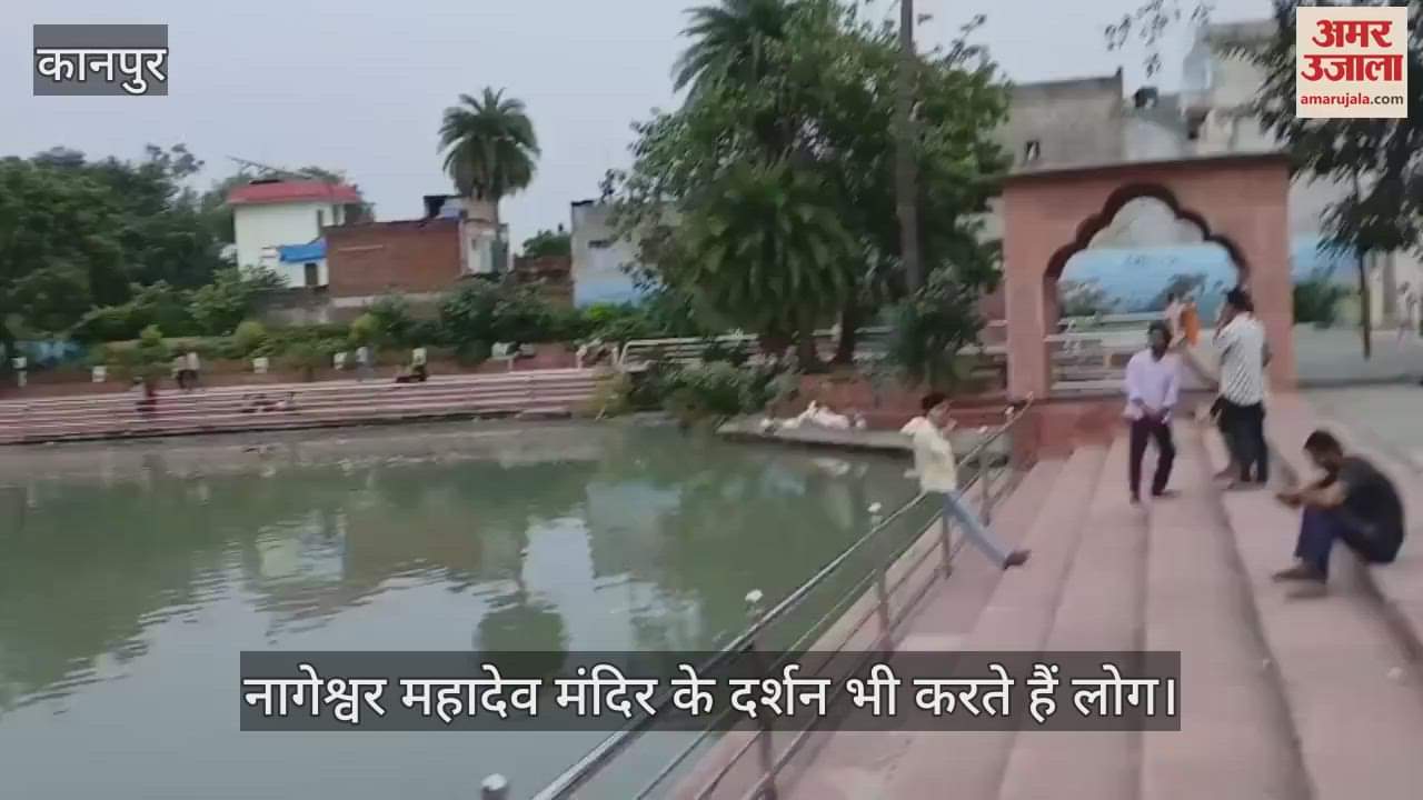 कानपुर का प्राचीन कछुआ तालाब, लोग मनोकामना पूर्ति के लिए कछुओं को खिलाते हैं पनीर