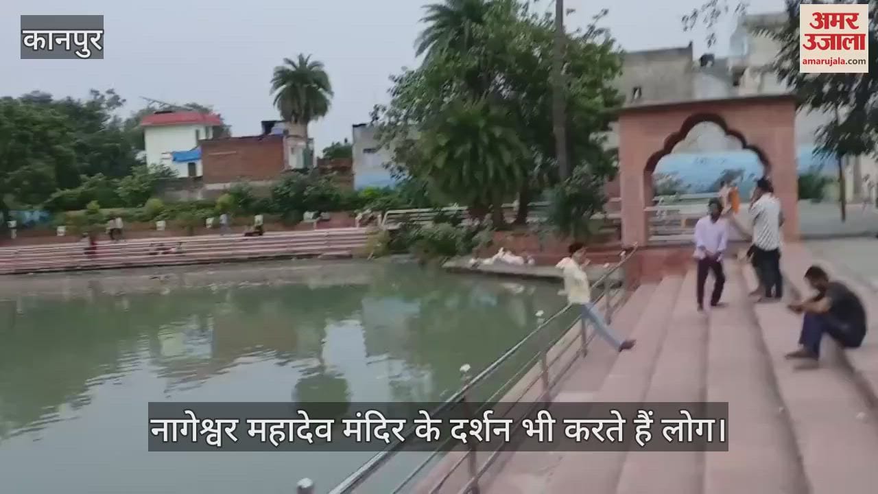 कानपुर का प्राचीन कछुआ तालाब, लोग मनोकामना पूर्ति के लिए कछुओं को खिलाते हैं पनीर