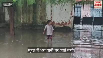 Shahdol News: Waterlogging in Dhanpuri causes problems for schools and roads