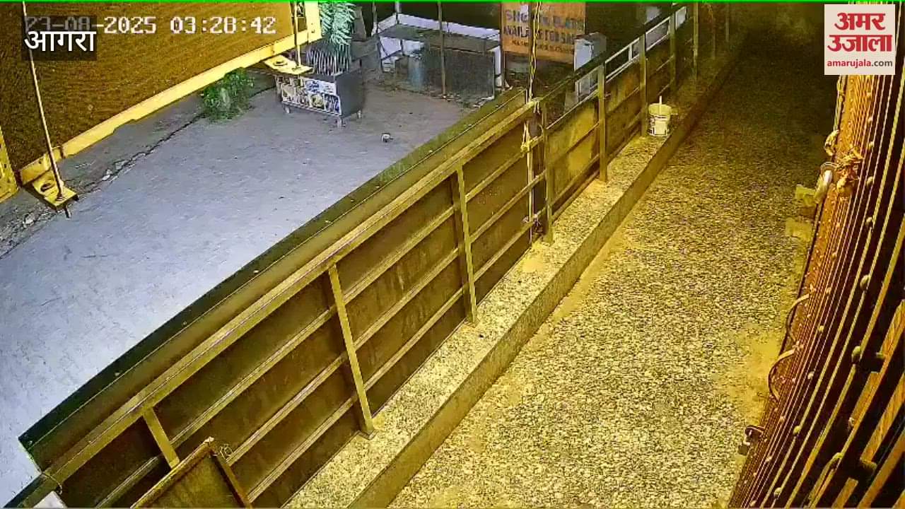 CCTV footage of theft from a jeweler's shop