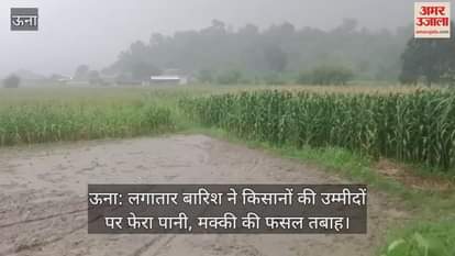 Una: Continuous rain dashed the hopes of farmers, maize crop destroyed