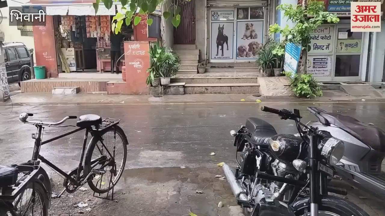 Light rain in Bhiwani, brought relief from humidity