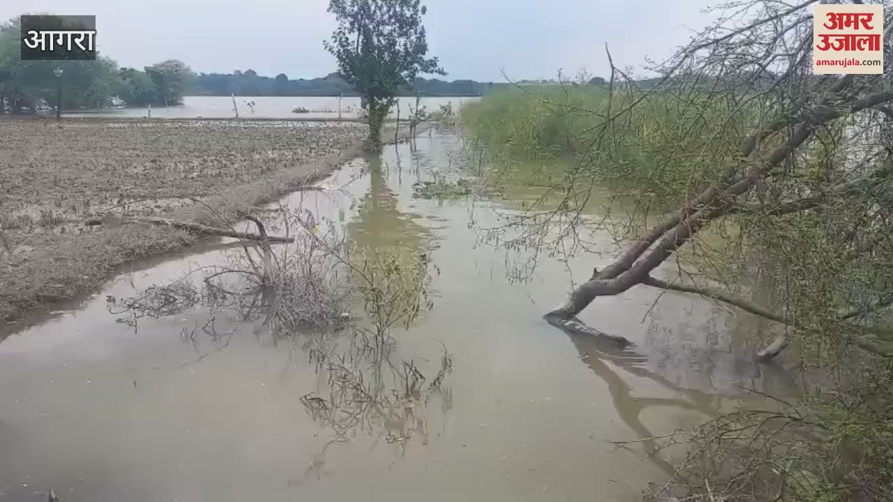 Flood threat in Agra, Yamuna in spate