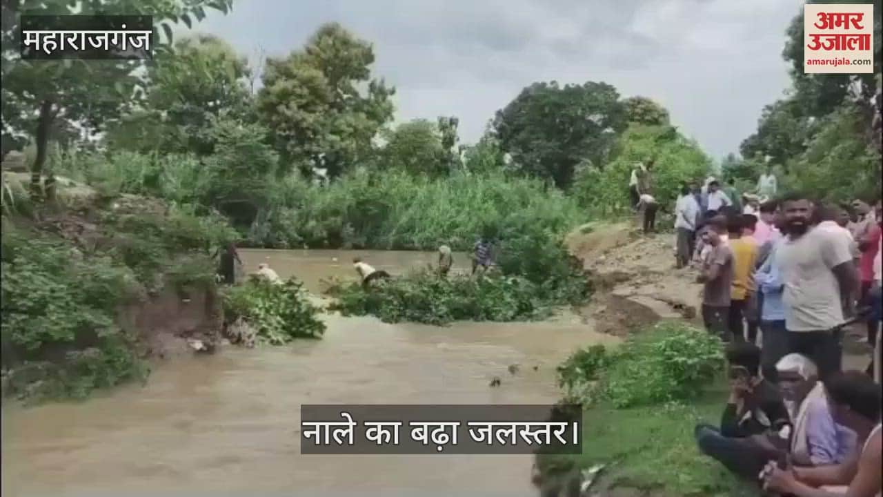 Due to continuous rain, the level of Mahav drain increased, water entered the fields