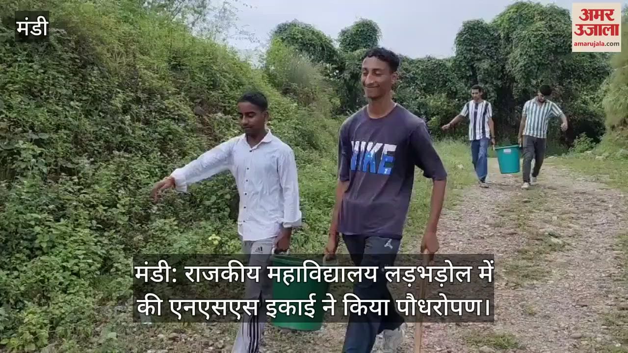 Mandi: NSS unit planted trees in Government College Ladbhadol