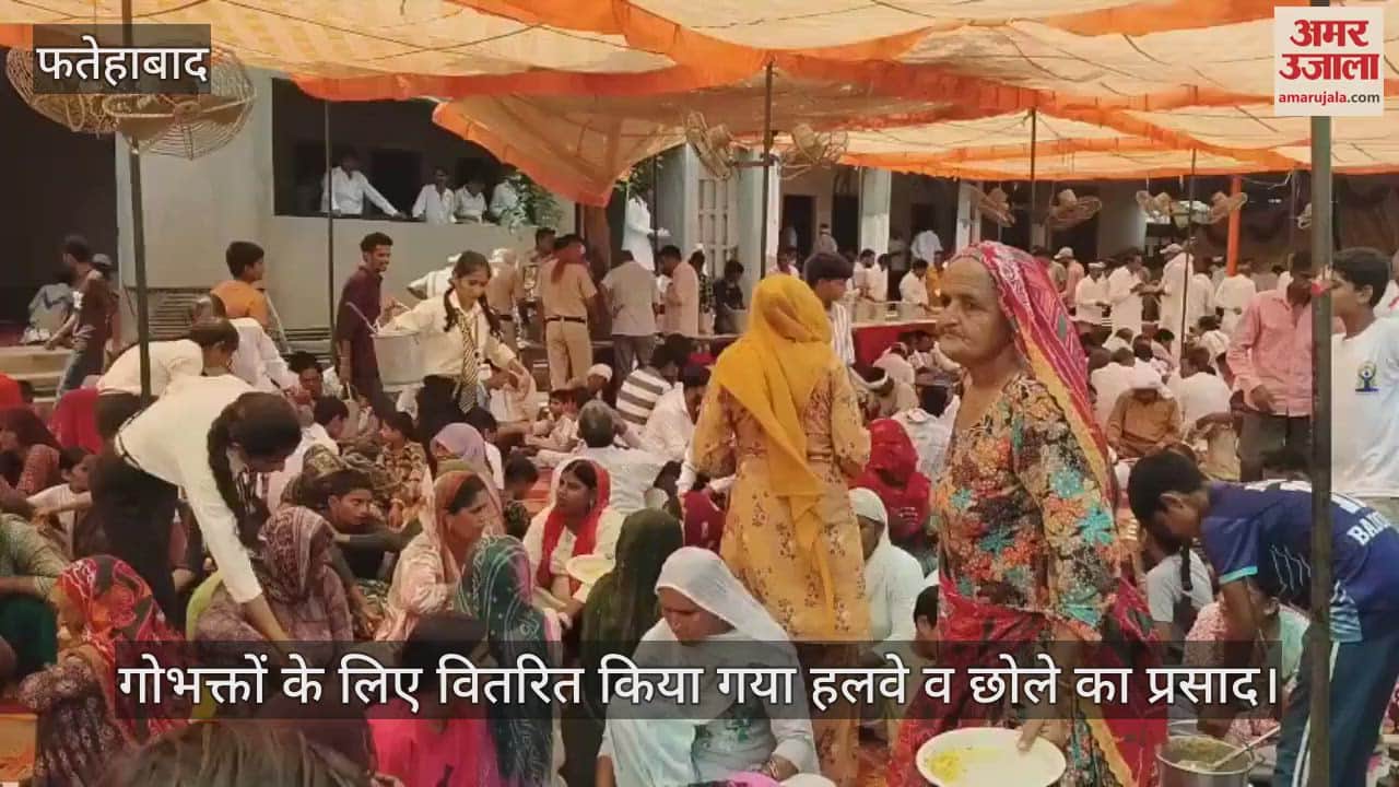 Halwa prasad distributed to the devotees