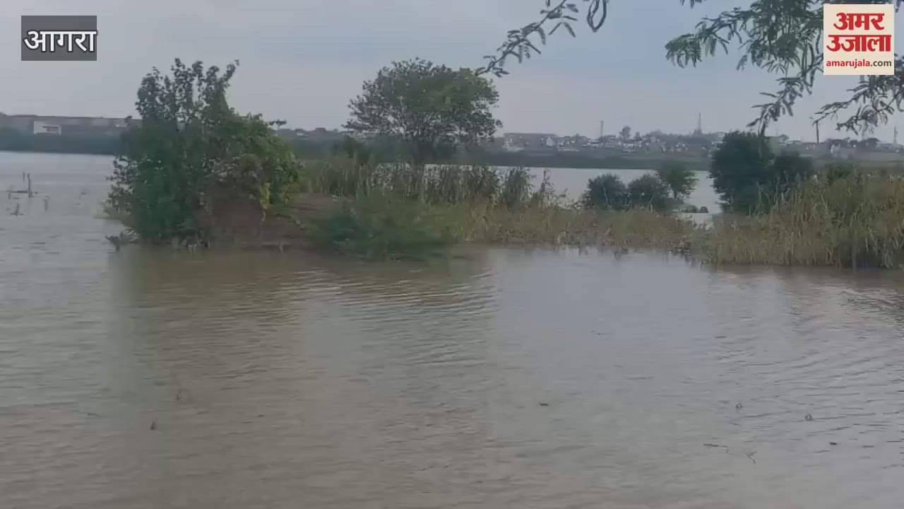 flood risk in agra due to yamuna water level rise