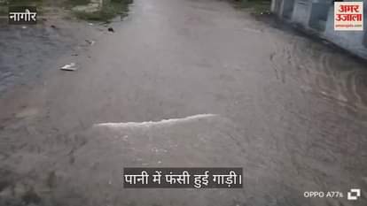 Rajasthan Weather: After a long wait, rain knocked, crops got new lease of life; Nagaur heavy rains
