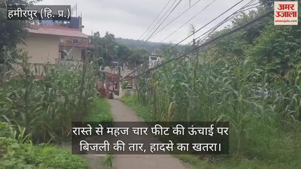 Electricity wire at a height of just four feet from the road, risk of accident