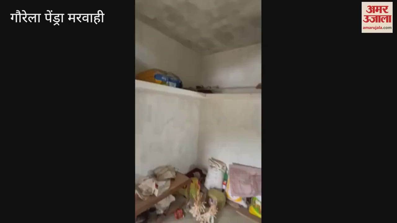 8-Foot Python Found Hiding in Marwahi Home, Rescued and Released in Jungle