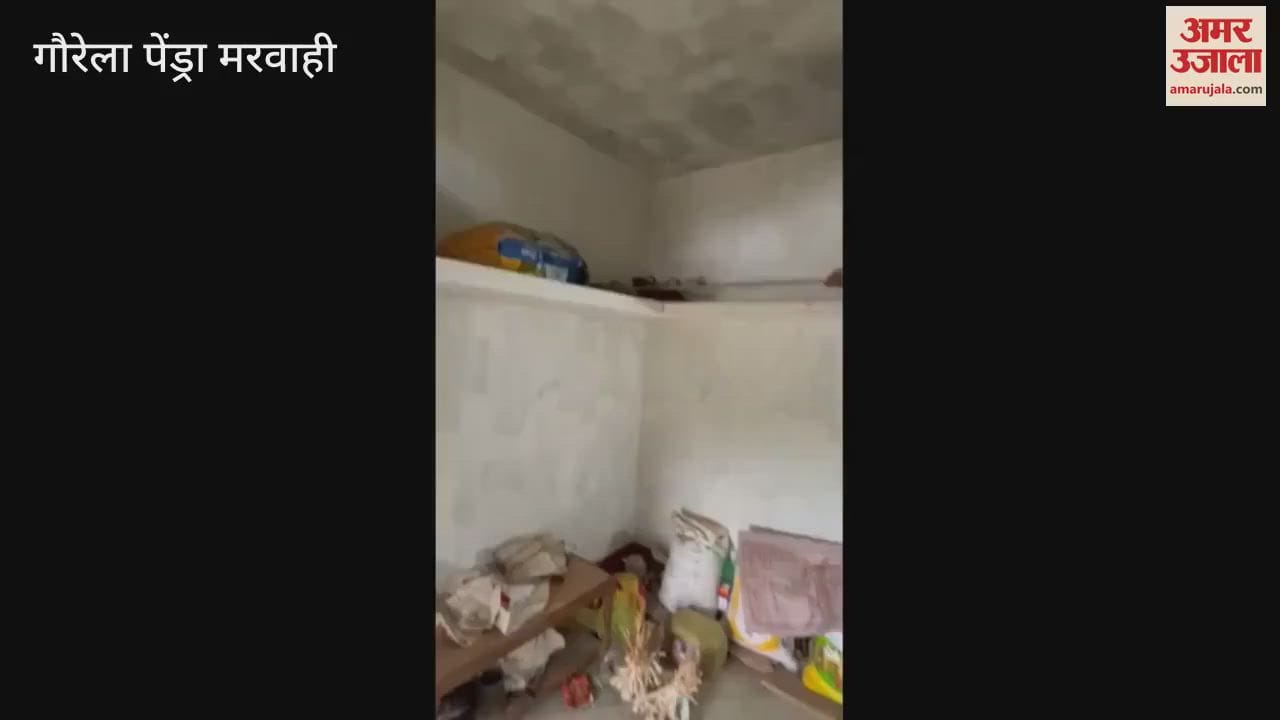 8-Foot Python Found Hiding in Marwahi Home, Rescued and Released in Jungle