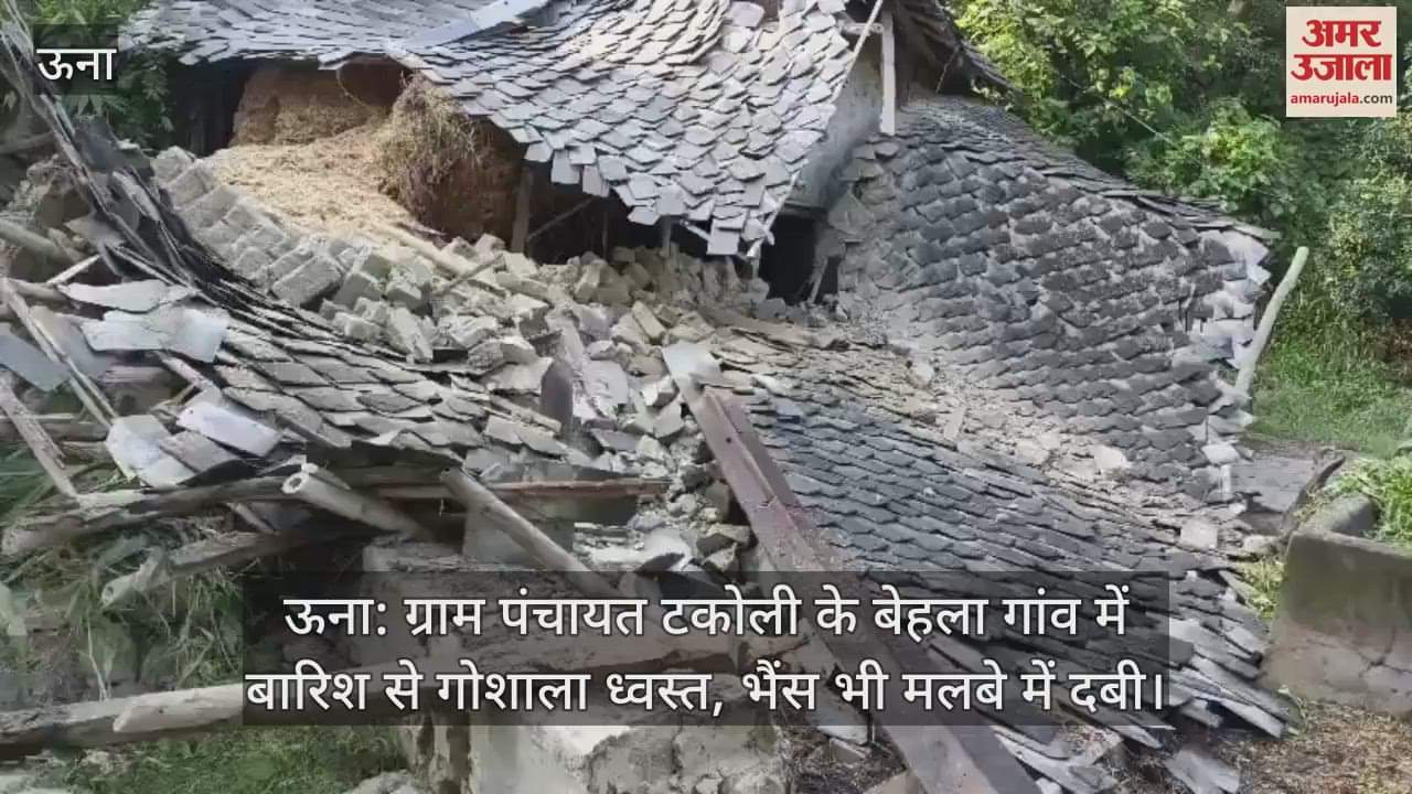 Una: Gaushala collapsed due to rain in Behala village of Gram Panchayat Takoli, buffalo also got buried under the rubble