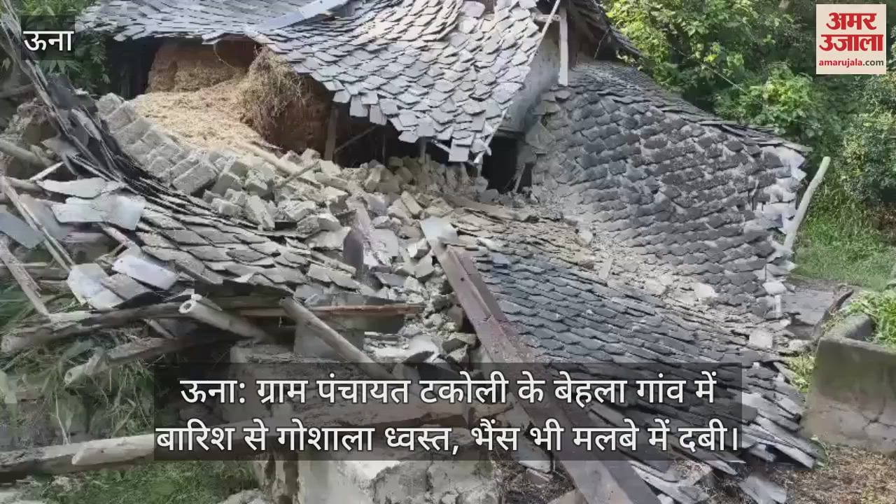 Una: Gaushala collapsed due to rain in Behala village of Gram Panchayat Takoli, buffalo also got buried under the rubble