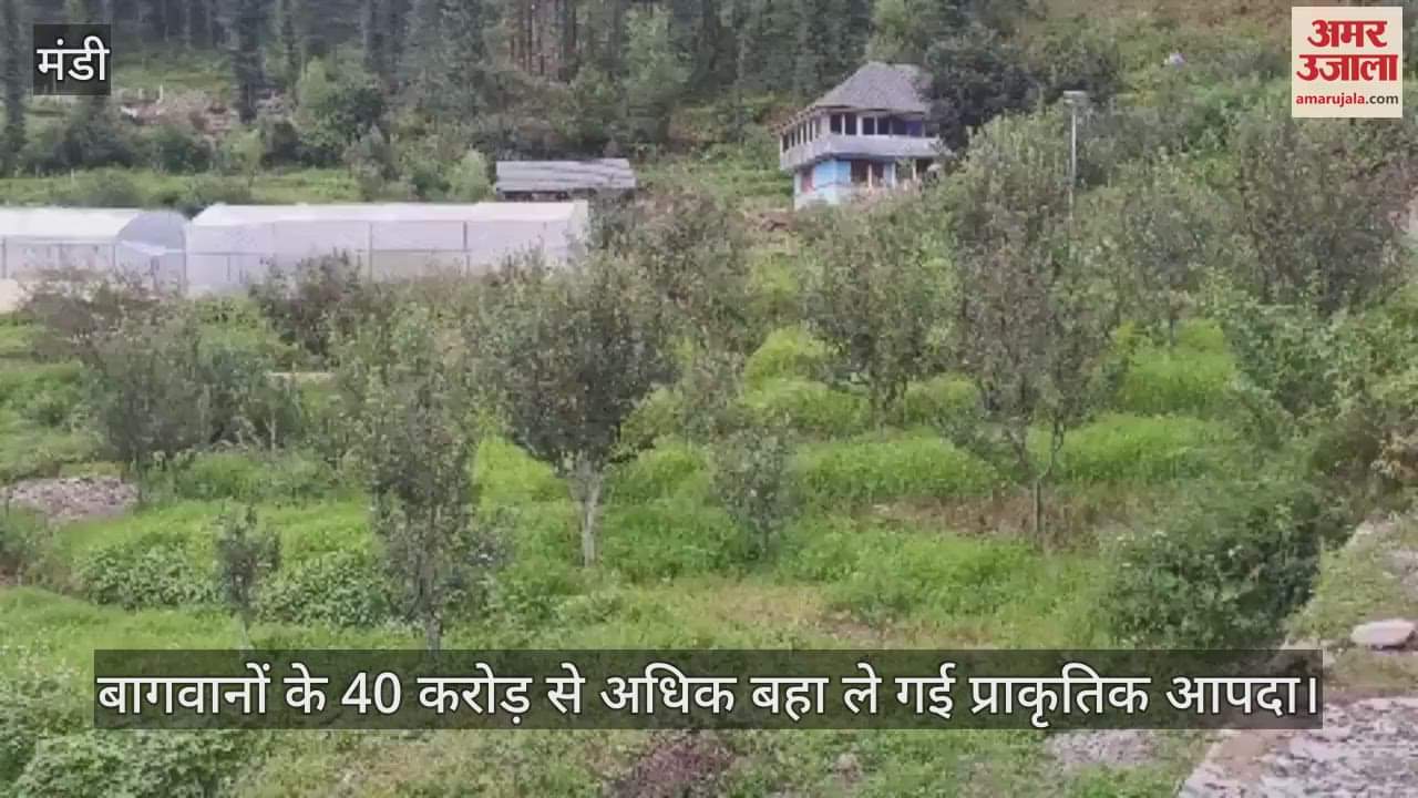 Natural disaster took away more than 40 crores of gardeners, 1.20 lakh fruit plants were destroyed