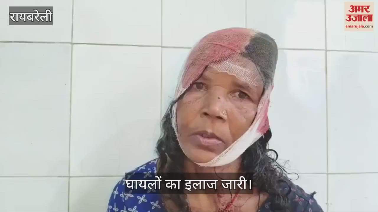VIDEO: Raebareli: पालतू कुत्ते के विवाद में खूनी संघर्ष, पांच लोग लहूलुहान, घायलों का इलाज जारी
