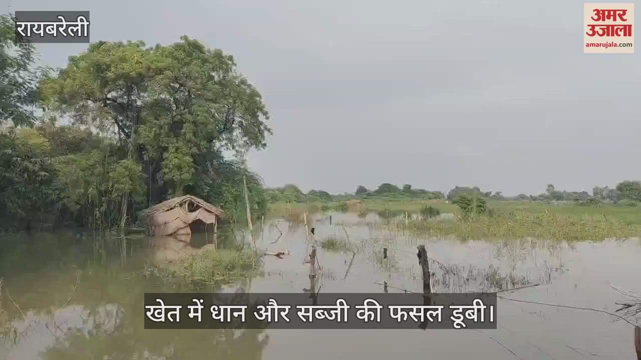 VIDEO: बाढ़ का पानी घटा, संक्रामक रोग फैलने का बढ़ा खतरा, ग्रामीणों को फंगस रोग ने घेरा, खेत में धान और सब्जी की फसल डूबी