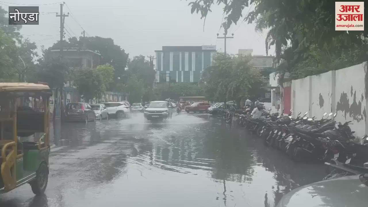 Waterlogging in many sectors due to rain in Noida