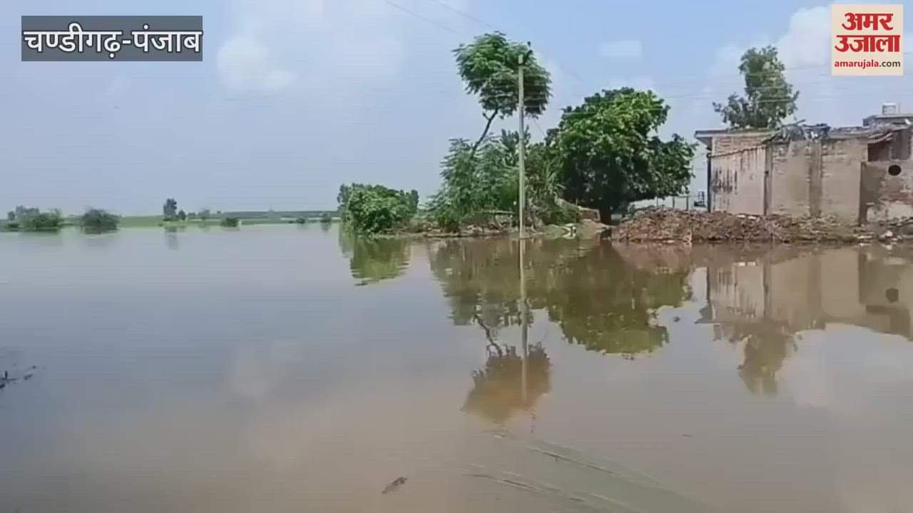 Water level of Sutlej increased flood like situation in three villages of Moga