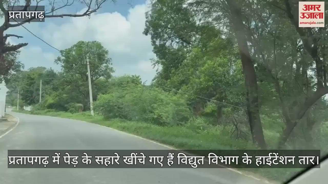 In Pratapgarh, the high tension wires of the electricity department have been drawn with the help of trees, the villagers complained