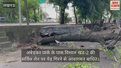 लखनऊ में अंबेडकर पार्क के पास विशाल खंड-2 की सर्विस लेन पर पेड़ गिरने से आवागमन बाधित