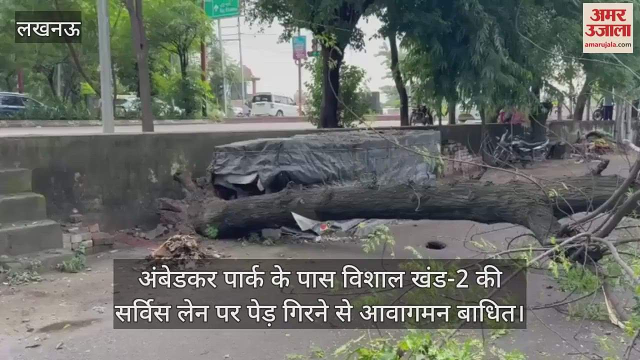 लखनऊ में अंबेडकर पार्क के पास विशाल खंड-2 की सर्विस लेन पर पेड़ गिरने से आवागमन बाधित
