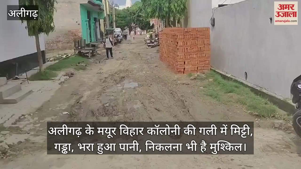 अलीगढ़ के मयूर विहार कॉलोनी की गली में मिट्टी, गड्ढा, भरा हुआ पानी, निकलना भी है मुश्किल