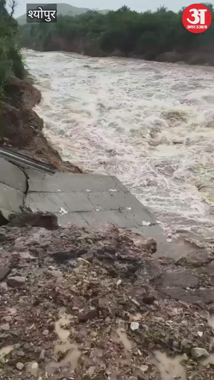 Heavy rain in Sheopur: Under-construction bridge washed away, MP Rajasthan connectivity disrupted