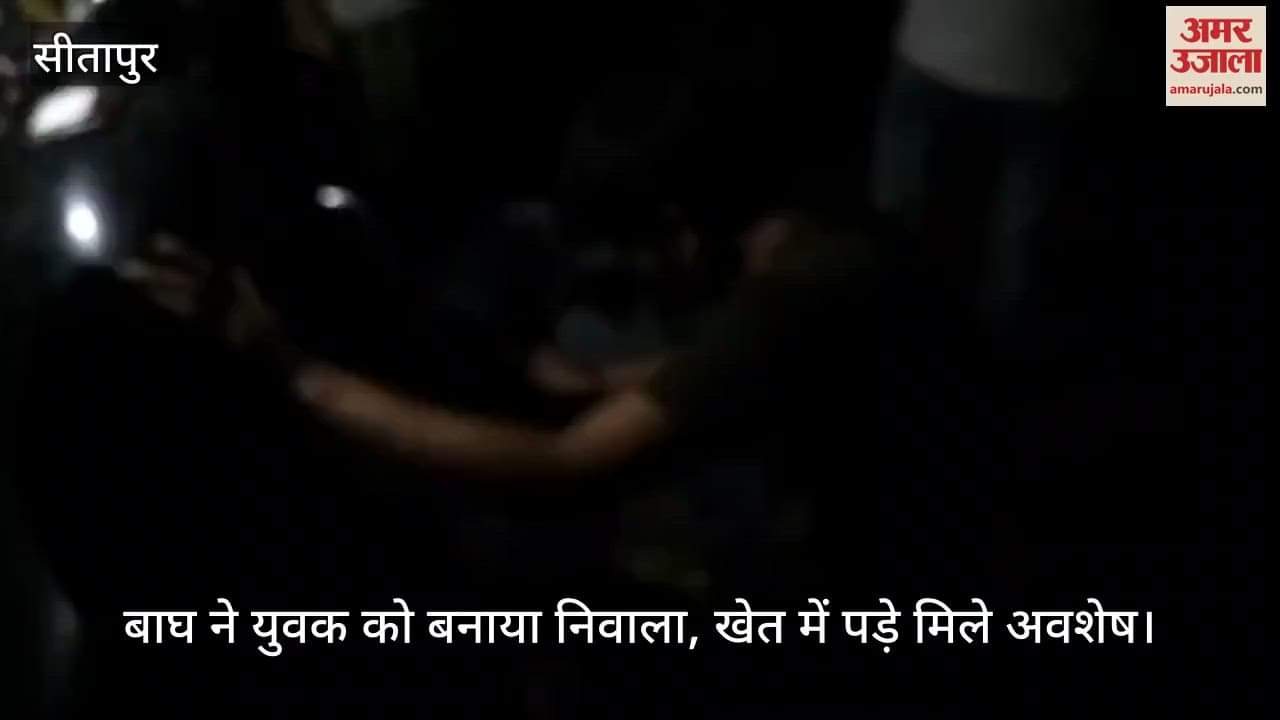 सीतापुर में बाघ ने युवक को बनाया निवाला, खेत में पड़े मिले अवशेष